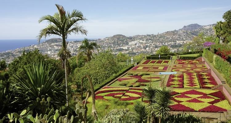 Around Madeira - DERTOUR 3