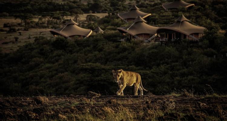 Mahali Mzuri y Casa de la Playa Msambweni - DERTOUR 2