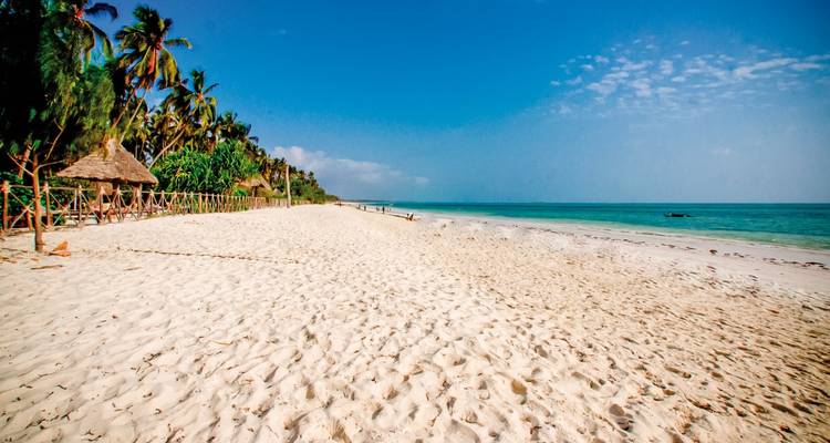 White sandy beach with calm turquoise waters and palm trees.