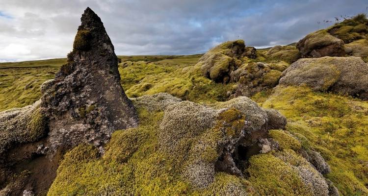 Visita panorámica Islandia - DERTOUR 6