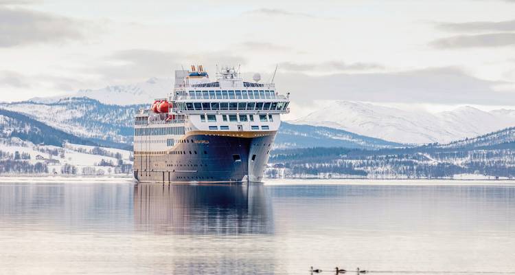 Een groot cruiseschip in een vredige fjordomgeving.