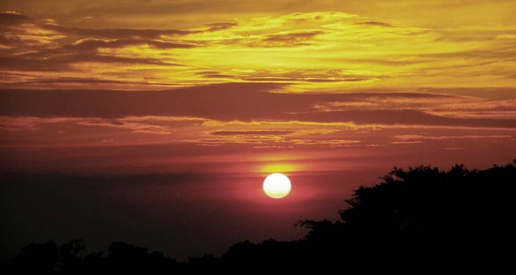 Costa Rica - En busca de los perezosos - DERTOUR 6