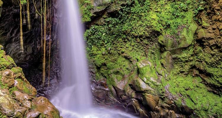 Costa Rica - En busca de los perezosos - DERTOUR 9