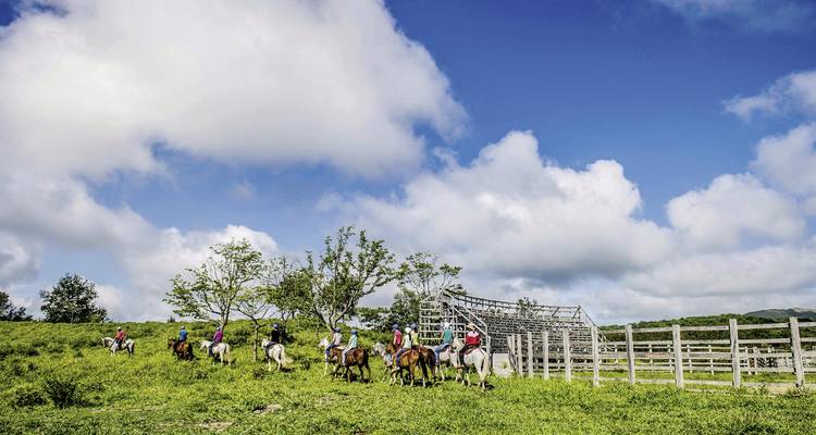 Groep mensen te paard rijdend door een groen veld.