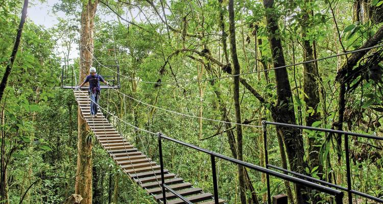 Persoon die loopt op een hangbrug in een dicht regenwoud.