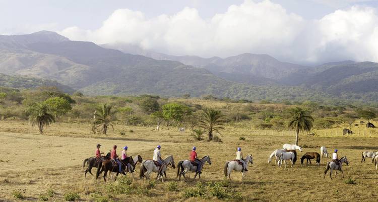 Groep mensen te paard die door een open veld rijden.