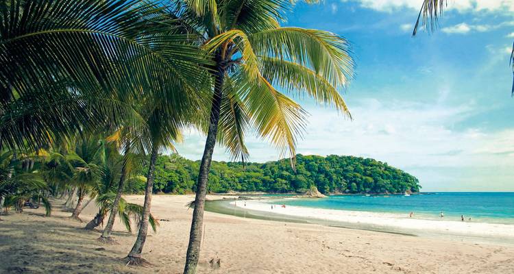 Tropisch strand met palmbomen en turquoise wateren.