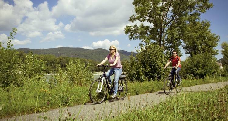 Danube cycle path with charm - DERTOUR 7