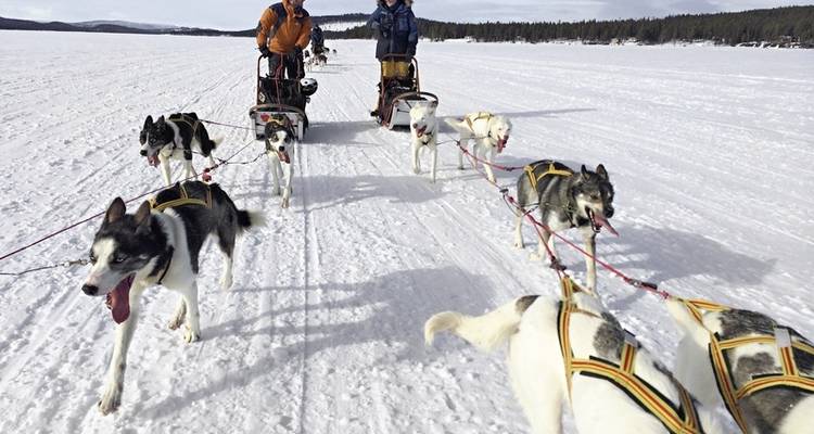 Wildlife, northern lights and the natural paradise of Senja - DERTOUR 6