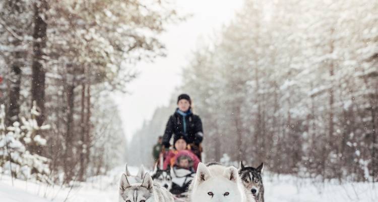 Wildlife, northern lights and the natural paradise of Senja - DERTOUR 8