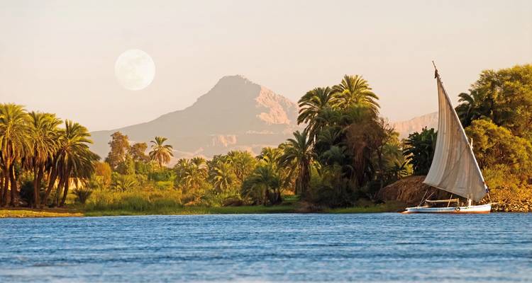 Sailboat on a river with mountains and palm trees.
