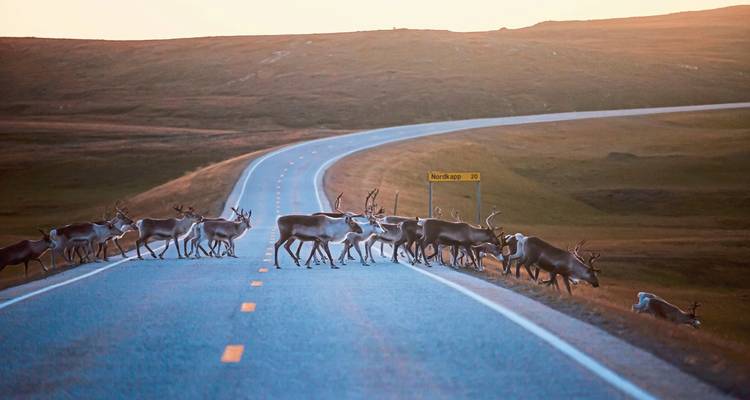 Norway Kaleidoscope - from Oslo to the North Cape - DERTOUR 7