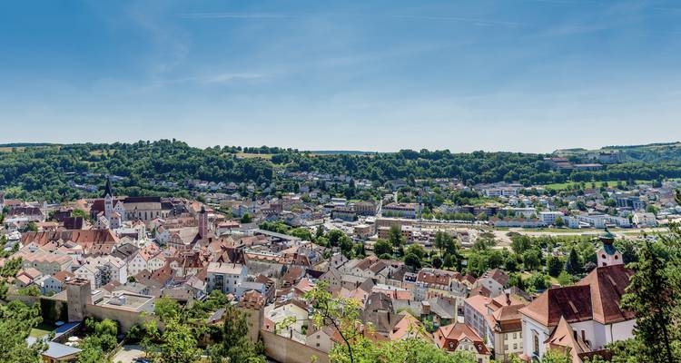 Panoramic view of a town with historical architecture in Germany.