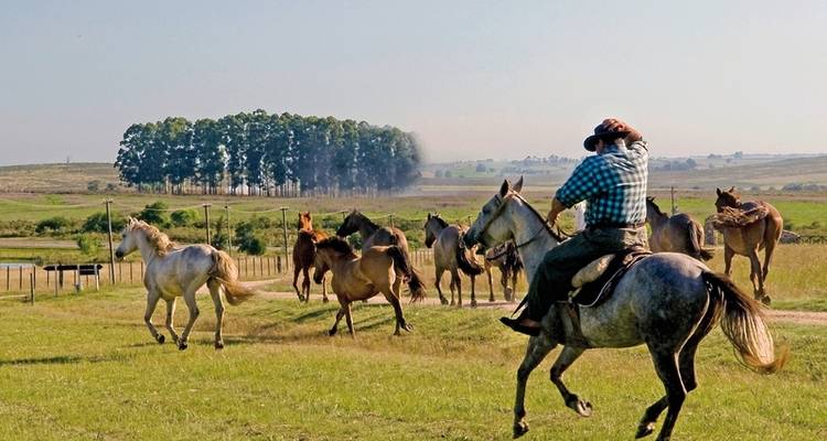On the road in the land of the gauchos - DERTOUR 5