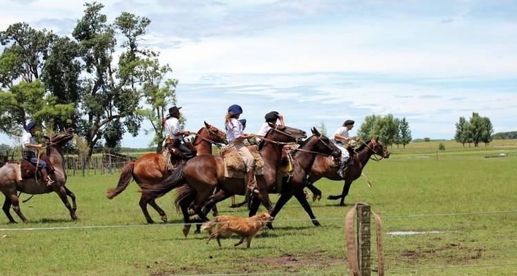 On the road in the land of the gauchos - DERTOUR 3