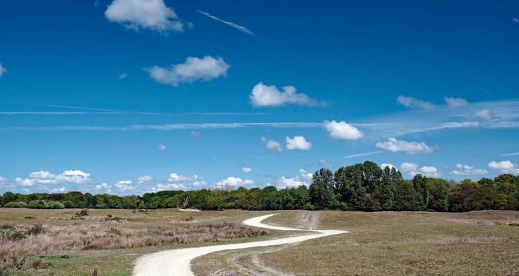 MS Normandie - Zeeland route - DERTOUR 10