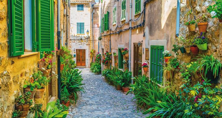 Ruelle charmante avec des plantes en pot et des volets colorés.