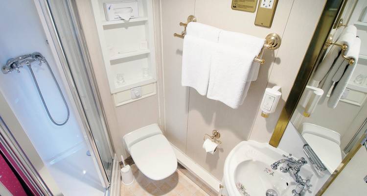 A compact cruise ship bathroom with modern amenities.