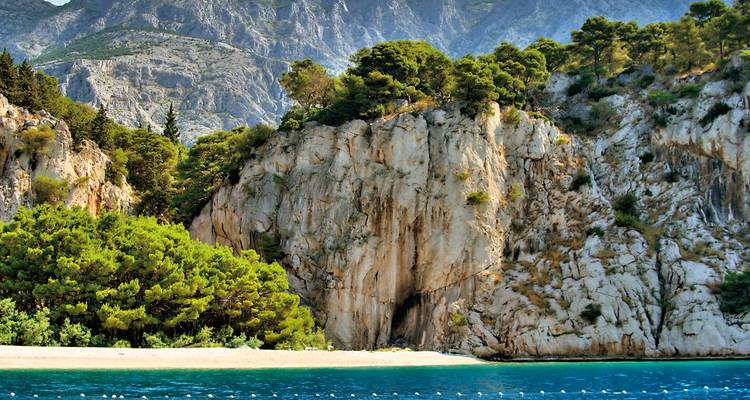 Falaise avec végétation verte à côté d'une mer bleue.