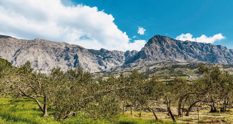 Paysage de montagne avec des arbres et un ciel dégagé.