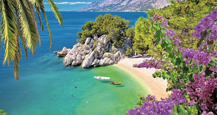 Plage pittoresque avec des eaux turquoise, des palmiers et des fleurs.