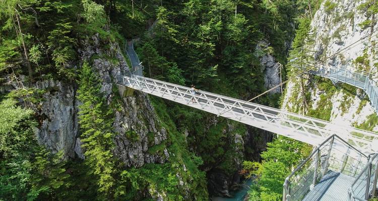 Suspension bridge over wooded gorge.