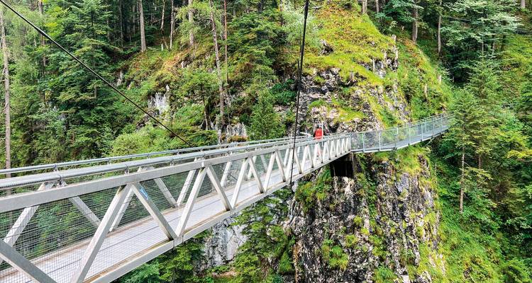 Suspension bridge over a deep forested gorge.
