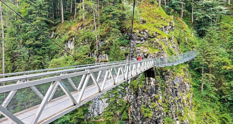 Un pont enjambant une gorge rocheuse profonde avec une végétation luxuriante.