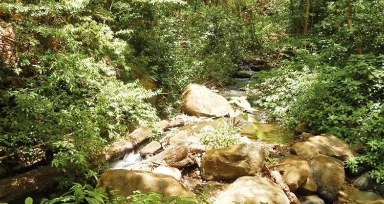 Parc national du Rincon de le Vieja - DERTOUR 5