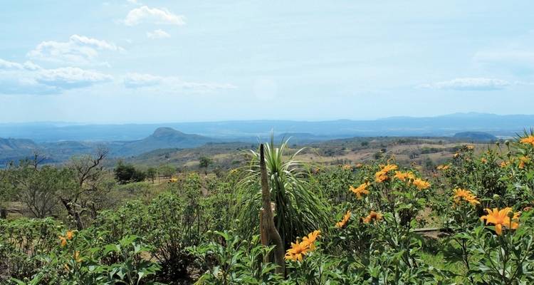 Parc national du Rincon de le Vieja - DERTOUR 3
