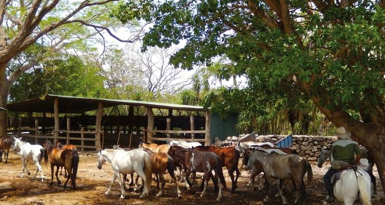 Rincon de le Vieja National Park - DERTOUR 2