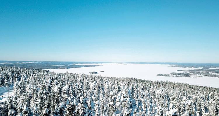 Vue aérienne d'une forêt enneigée et d'un paysage glacé au loin.