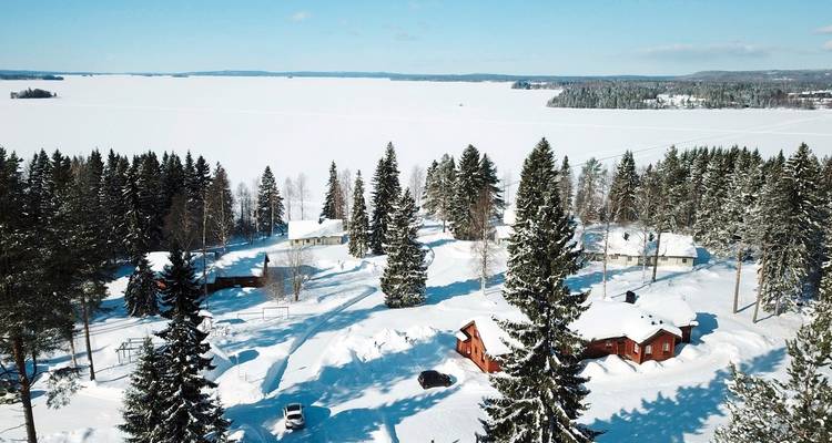 Paysage enneigé avec des arbres et un lac gelé au loin.