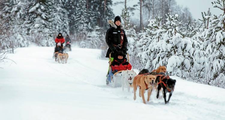 Équipe de traîneau à chiens avec des personnes dans une forêt enneigée.