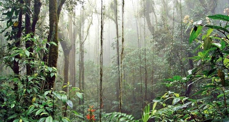 Lo mejor de Costa Rica - DERTOUR 6