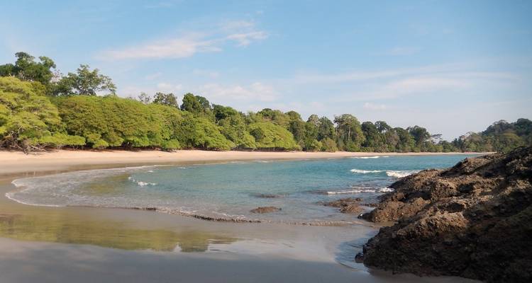 Tropischer Strand mit klarem Wasser und üppigem Grün.