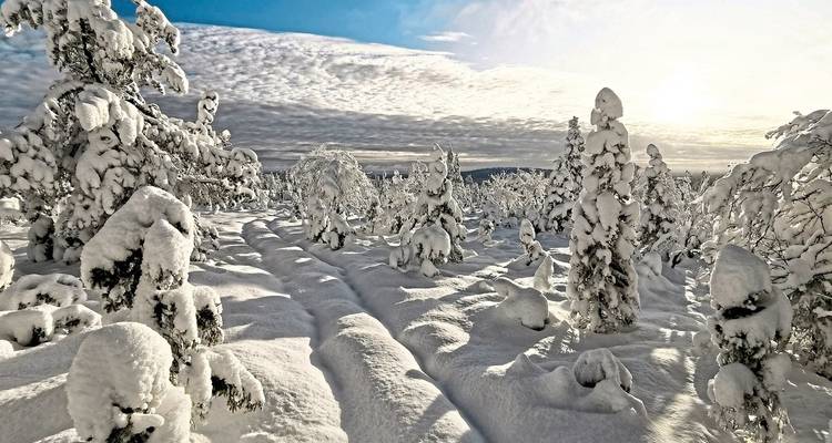 A guest in Lapland's gold mining village - DERTOUR 1