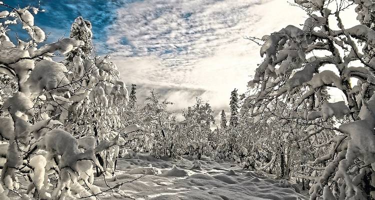 A guest in Lapland's gold mining village - DERTOUR 9