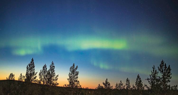 Northern lights in a clear night sky above a forested area.