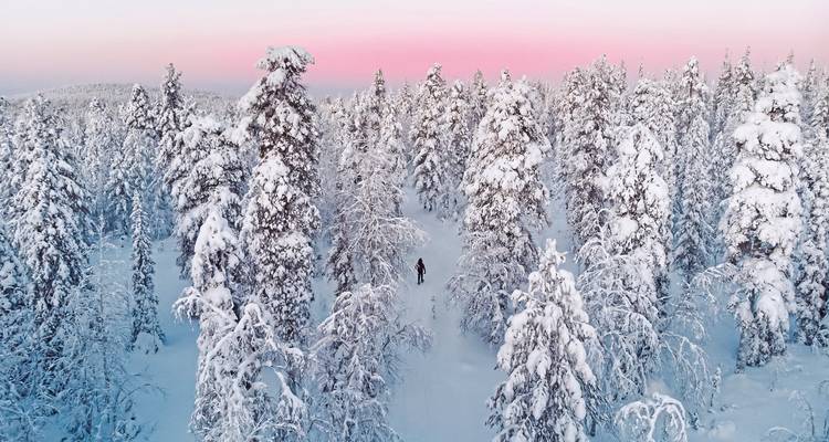 Snow-covered forest with a pink sky above a person walking.