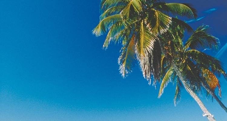 Manhattan Express & Florida Sunshine State, y compris une extension balnéaire (standard) - DERTOUR 3