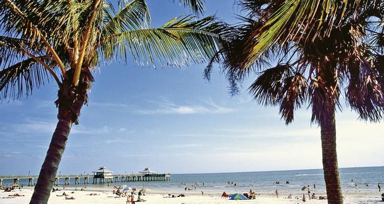 Scène de plage avec des palmiers et des gens qui se détendent