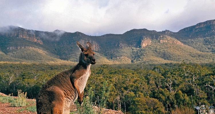 Fascination of the South (18 nights, Sydney-Adelaide) - DERTOUR 5