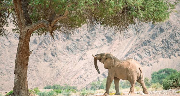 Namibia para entendidos - DERTOUR 7