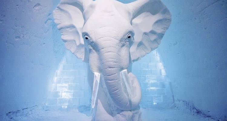 Points forts de l'Arctique - De la mer de glace à l'ICEHOTEL - DERTOUR 3