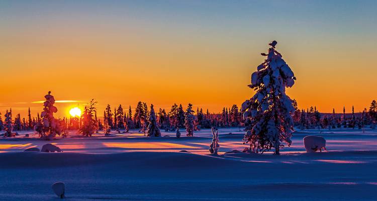 Coucher de soleil éclatant sur un paysage enneigé avec des arbres en silhouette.