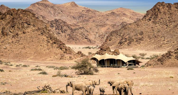 Elefanten bei einem Zelt in einer Wüste vor bergiger Kulisse.