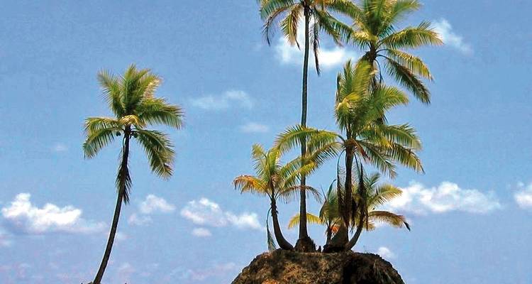 Parque Nacional del Corcovado - DERTOUR 1