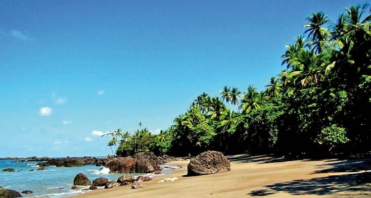 Parque Nacional del Corcovado - DERTOUR 2