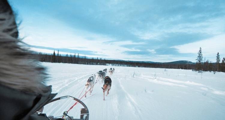 Winter adventures at the Arctic Panorama Lodge - DERTOUR 9